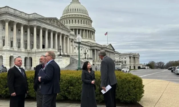 Hong Kong: Father of a US-based activist is sentenced to eight months under national security law 